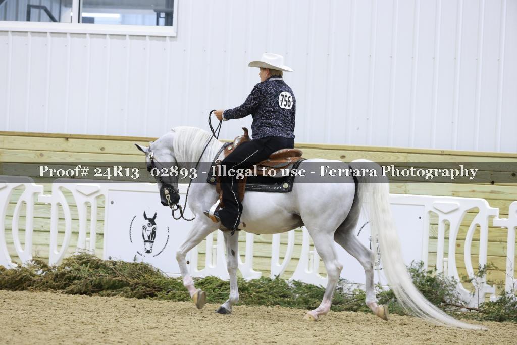 Proof 24R13_02893