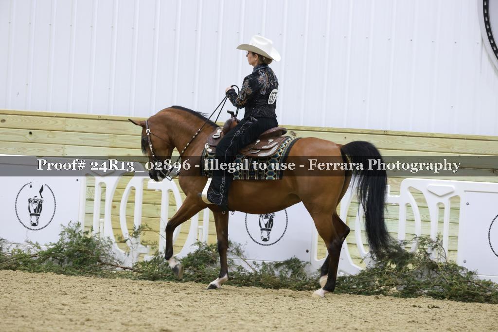 Proof 24R13_02896