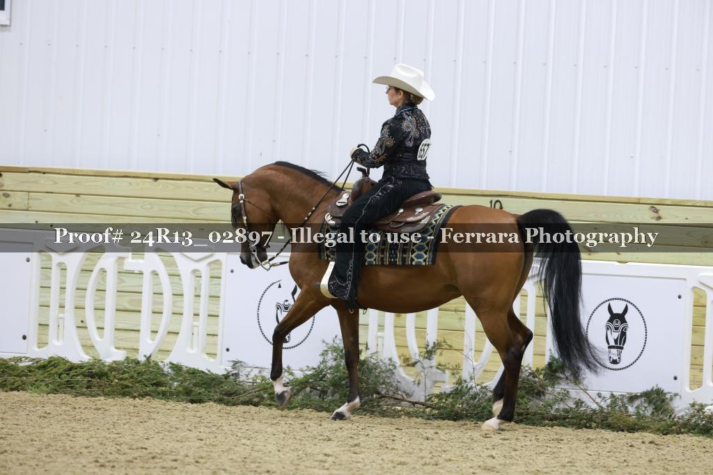 Proof 24R13_02897