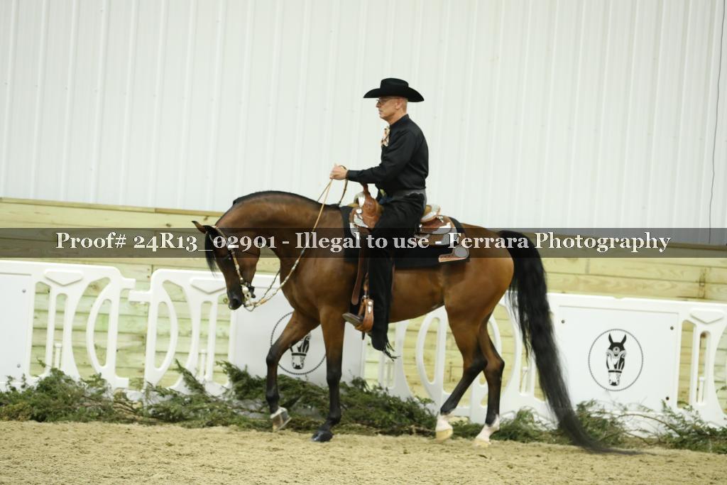 Proof 24R13_02901