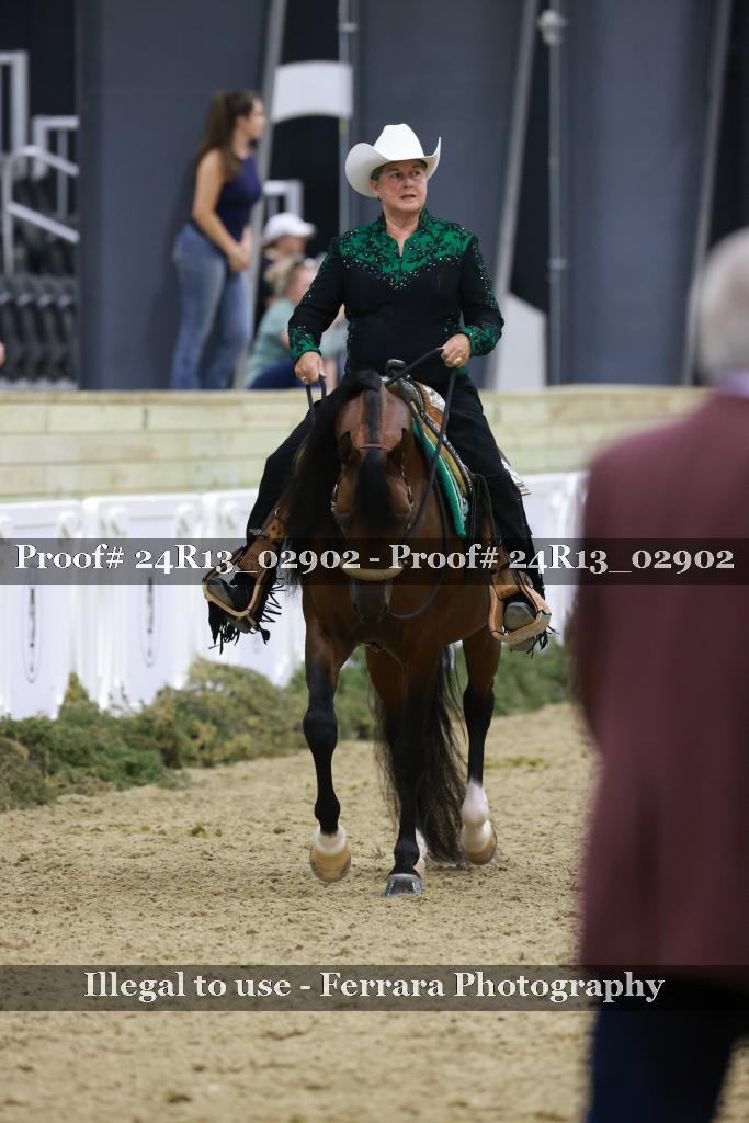 Proof 24R13_02902