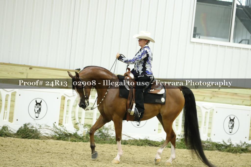 Proof 24R13_02908