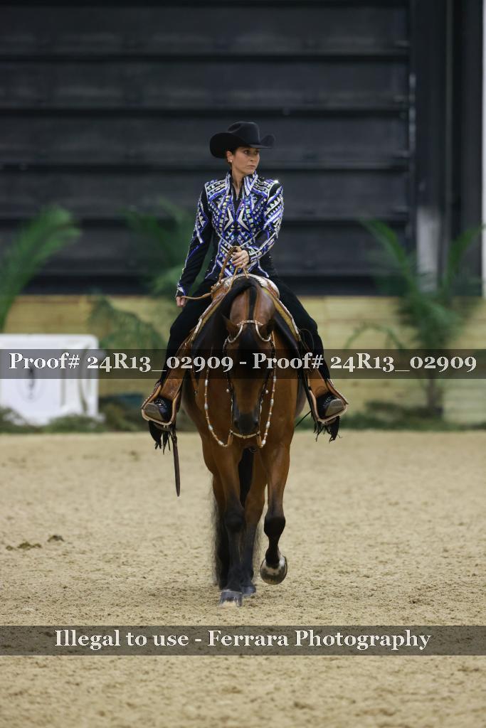 Proof 24R13_02909