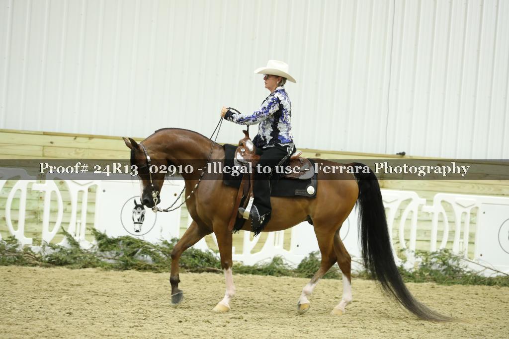 Proof 24R13_02910
