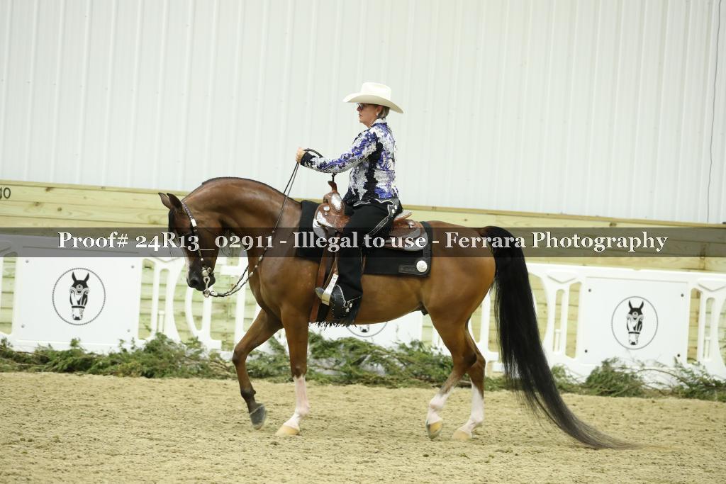 Proof 24R13_02911