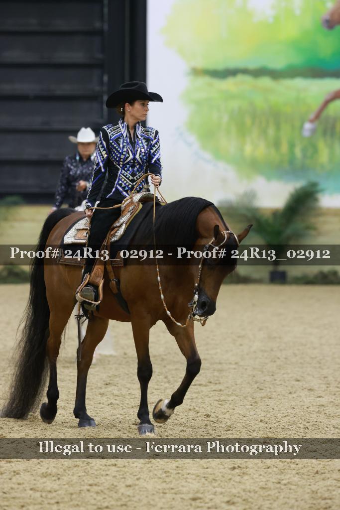 Proof 24R13_02912
