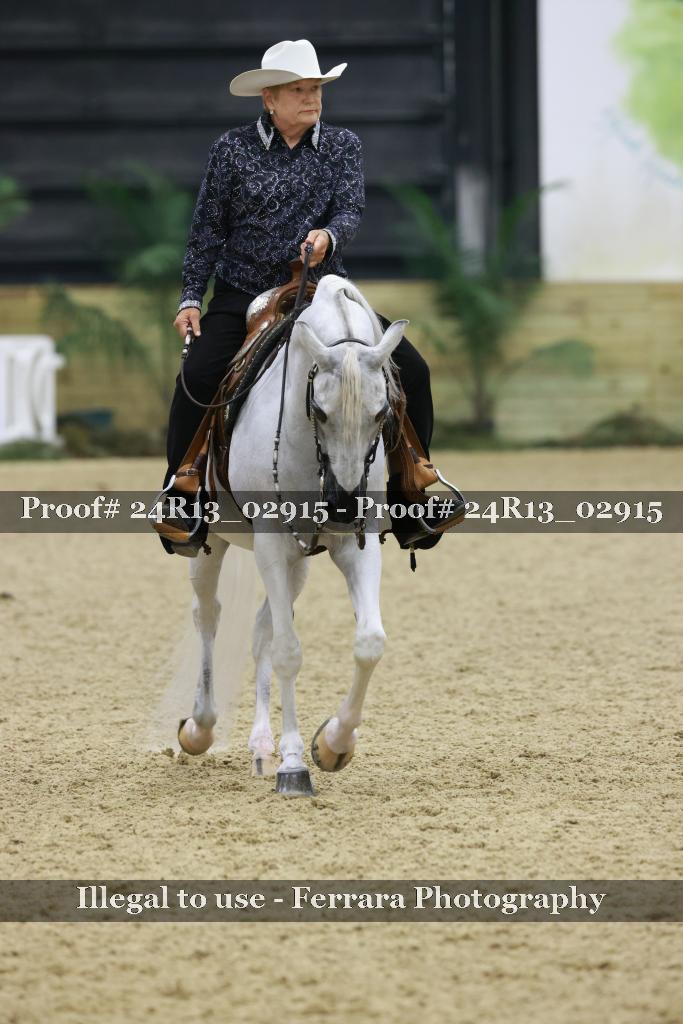 Proof 24R13_02915