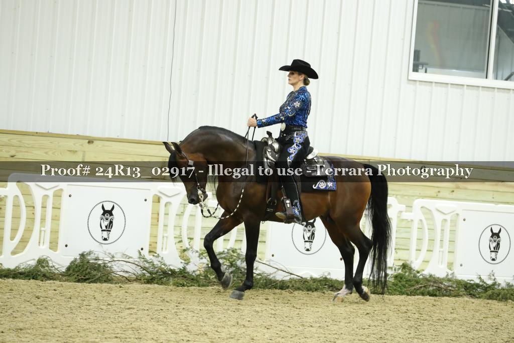 Proof 24R13_02917