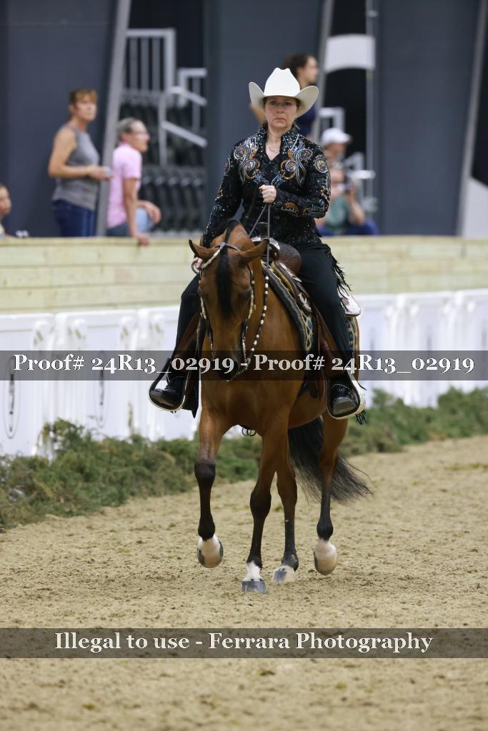Proof 24R13_02919