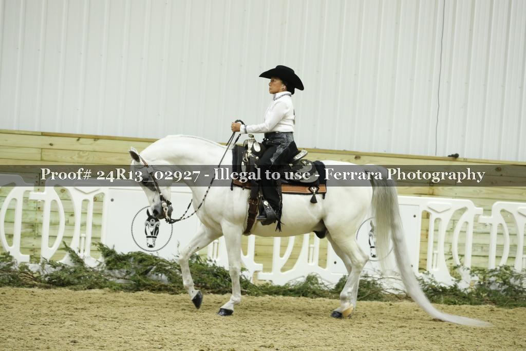 Proof 24R13_02927