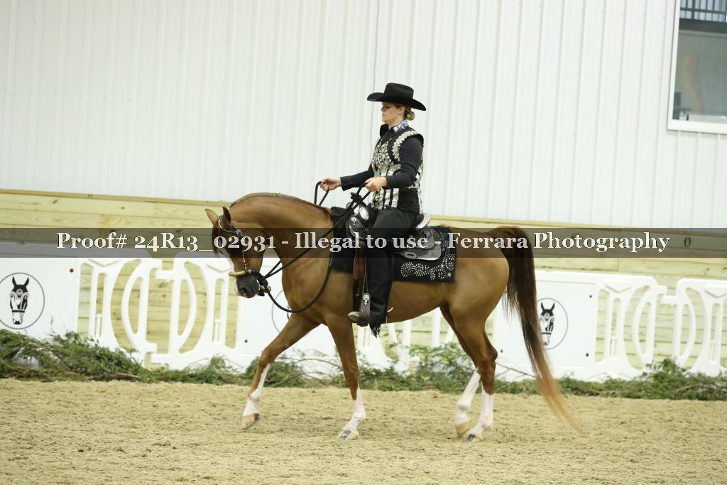 Proof 24R13_02931