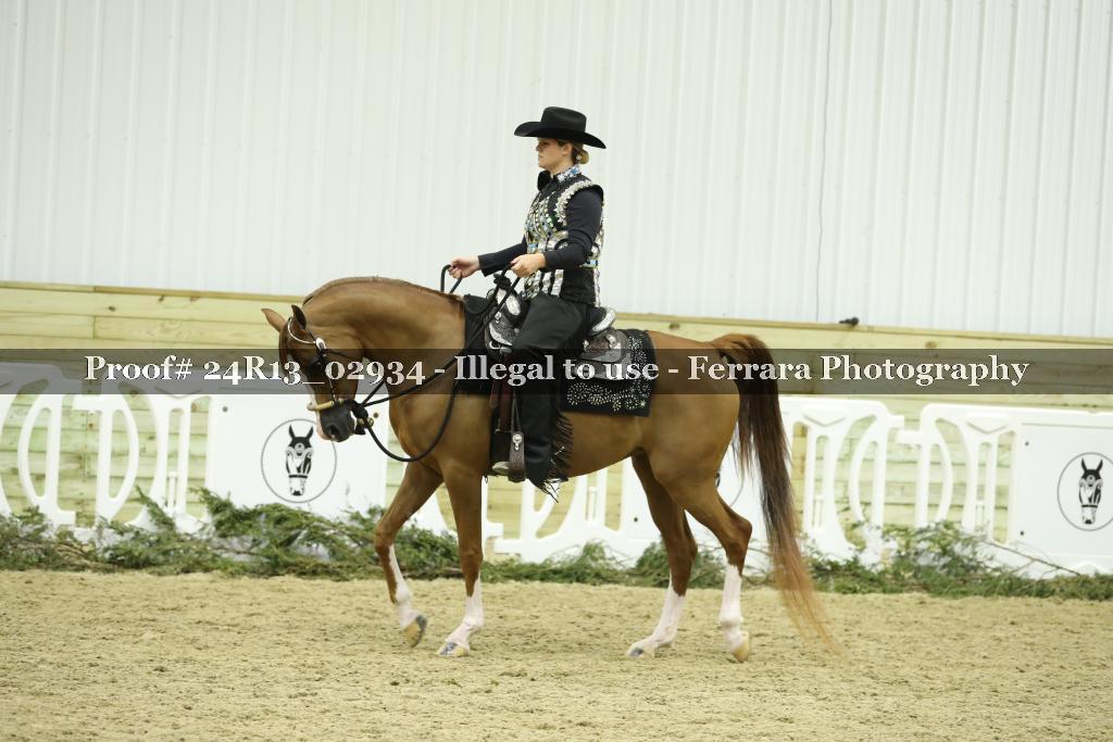 Proof 24R13_02934