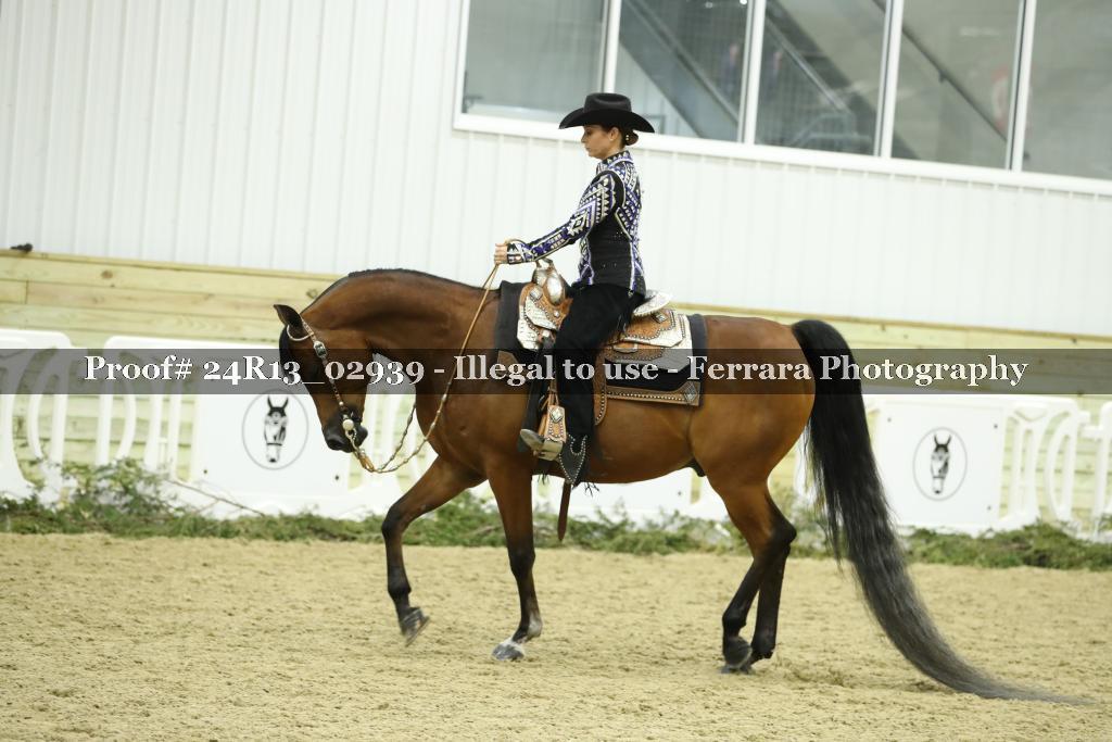 Proof 24R13_02939