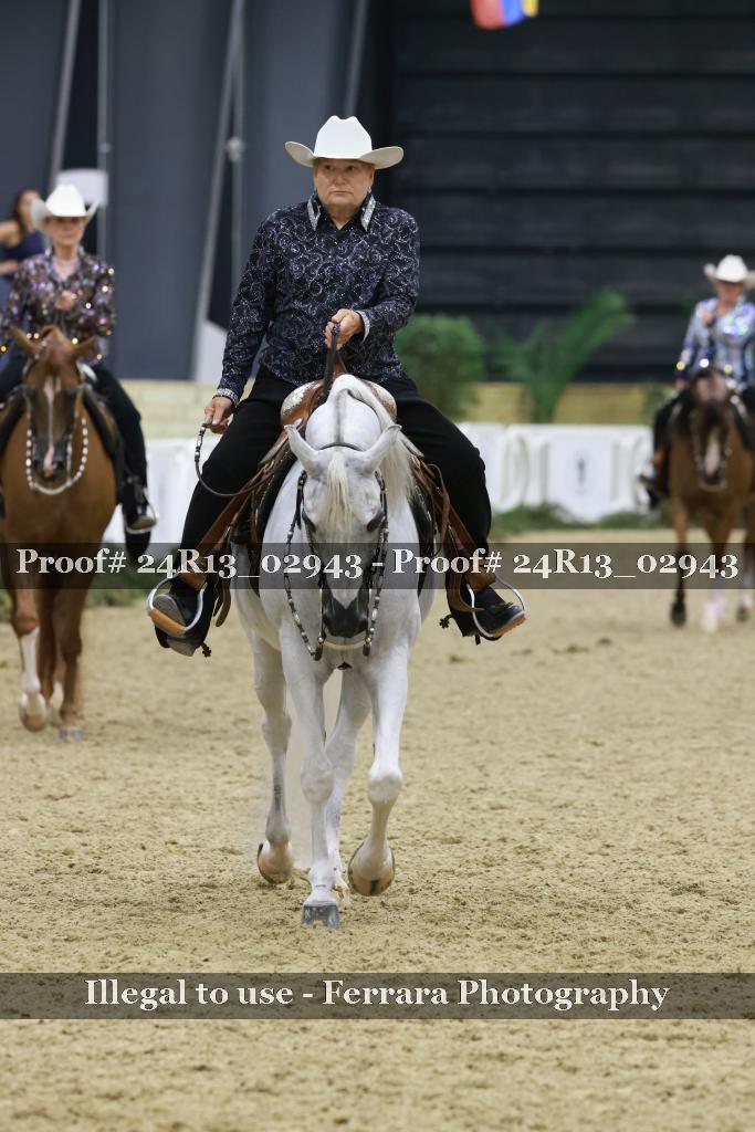 Proof 24R13_02943