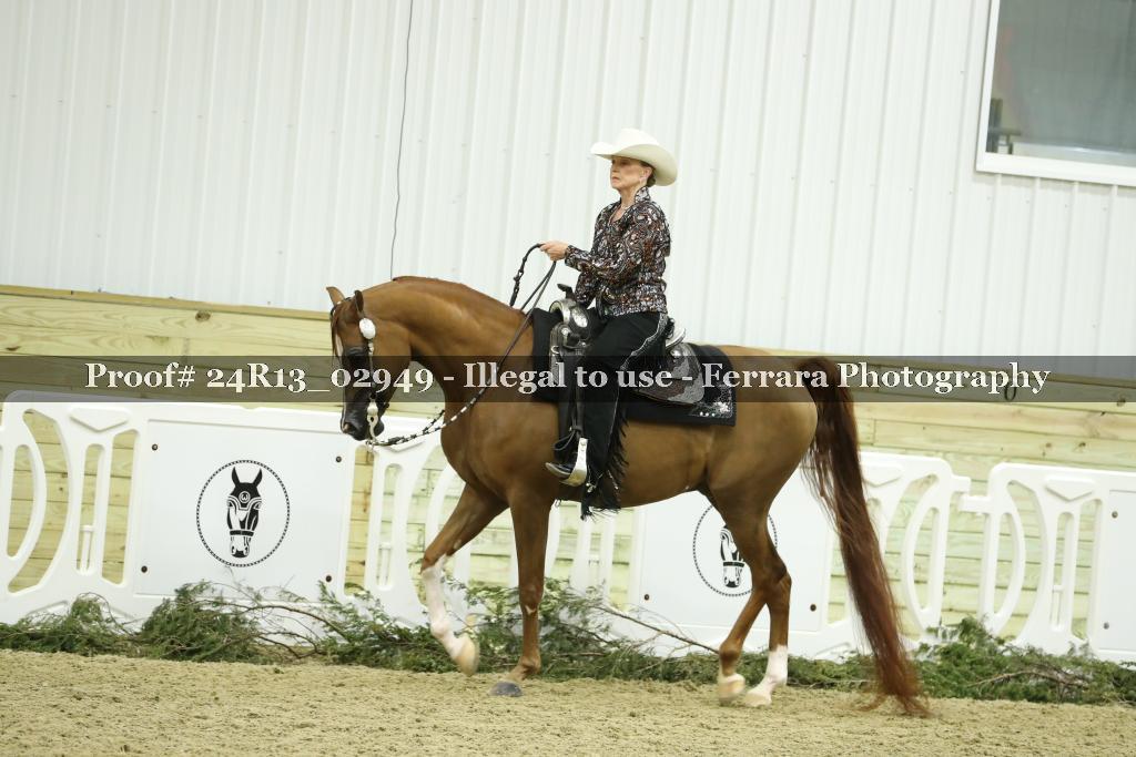 Proof 24R13_02949
