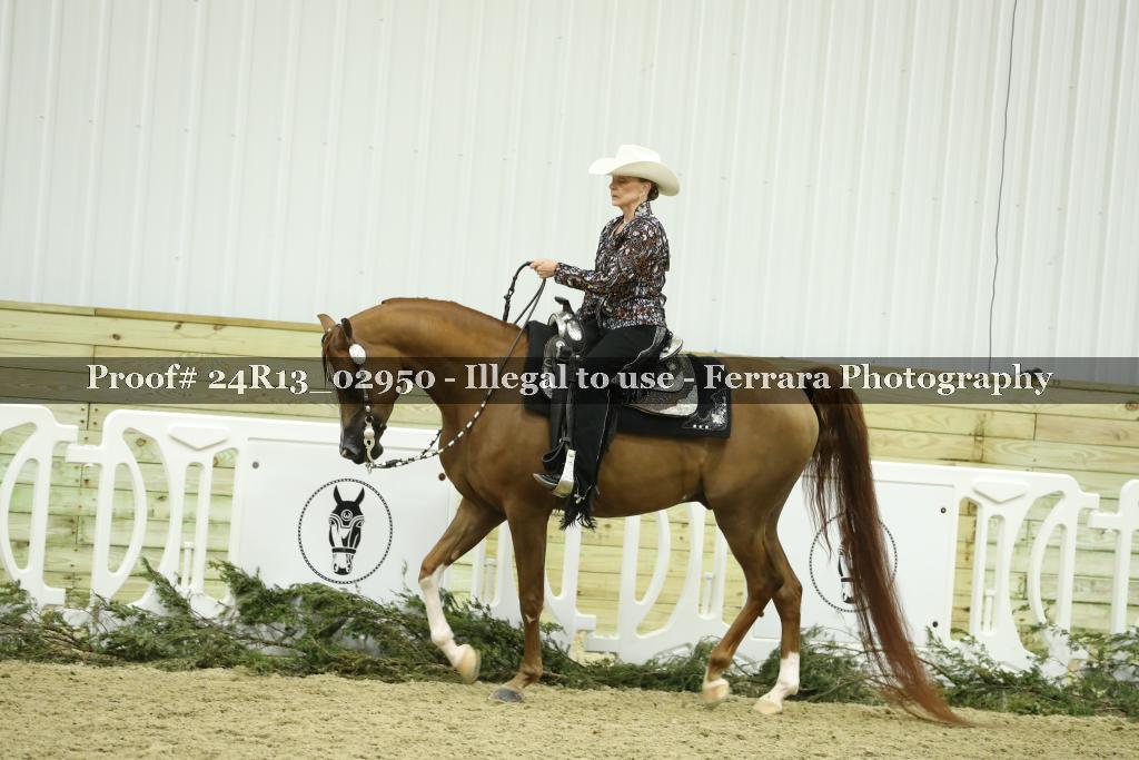 Proof 24R13_02950