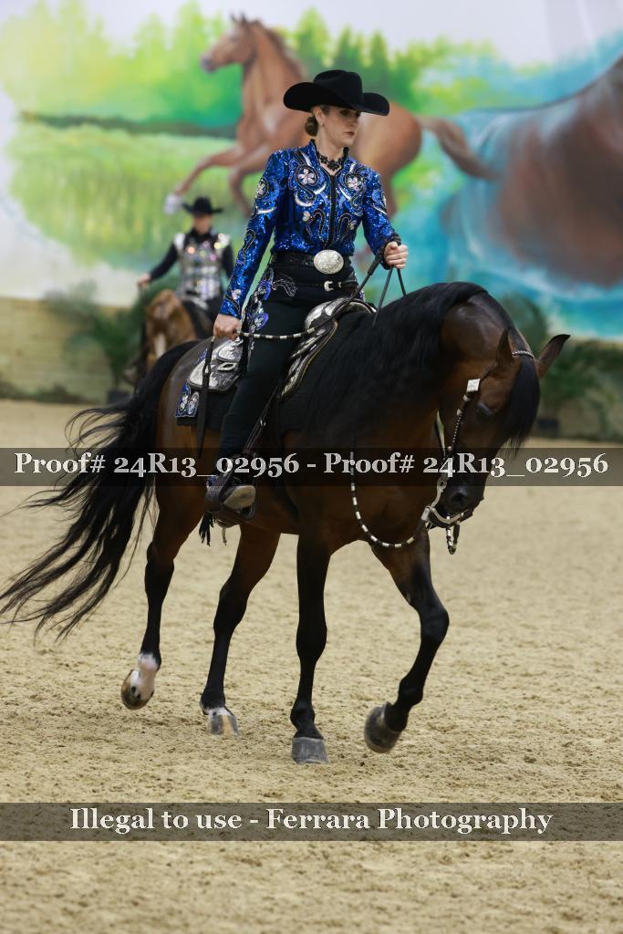 Proof 24R13_02956