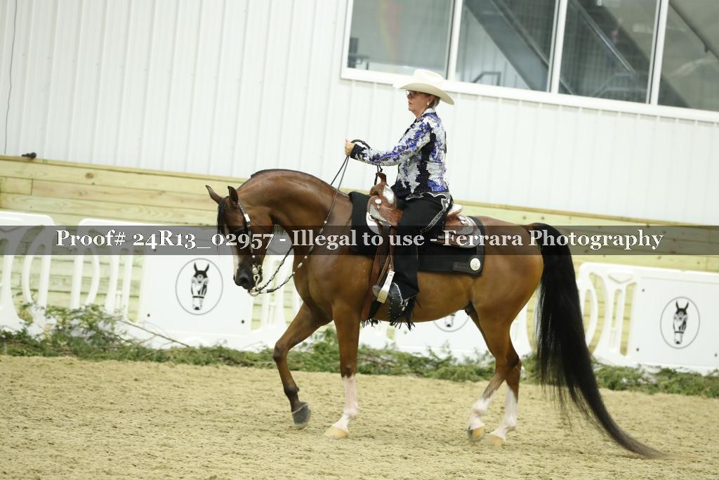 Proof 24R13_02957