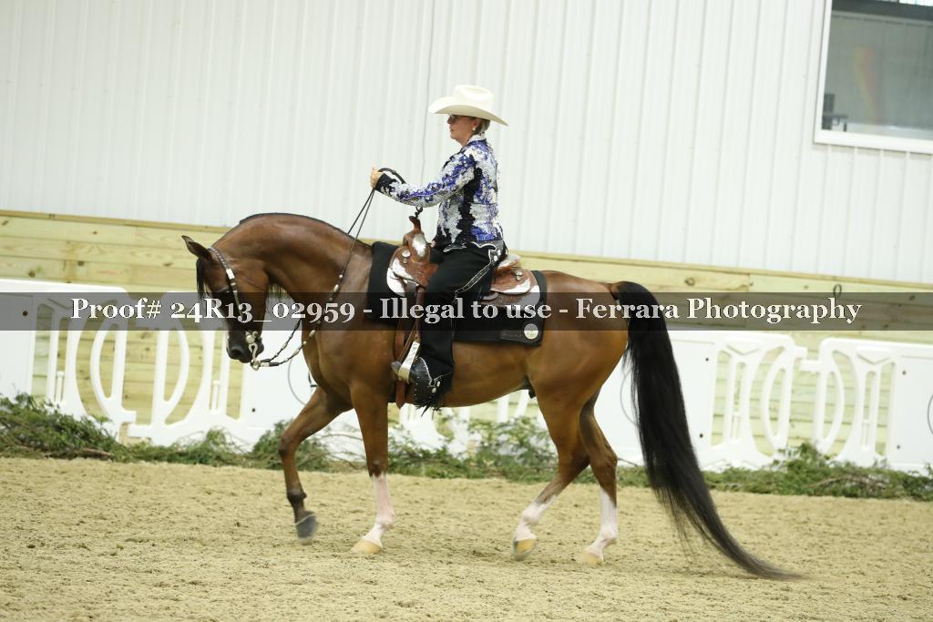 Proof 24R13_02959