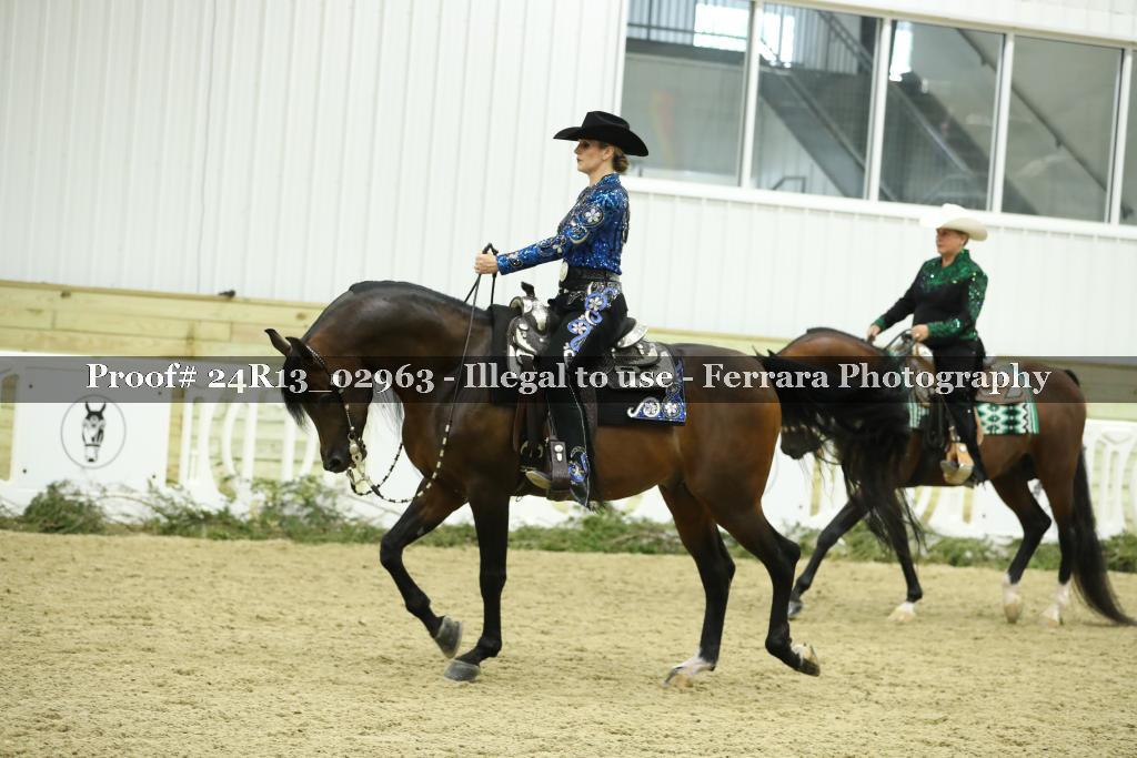 Proof 24R13_02963