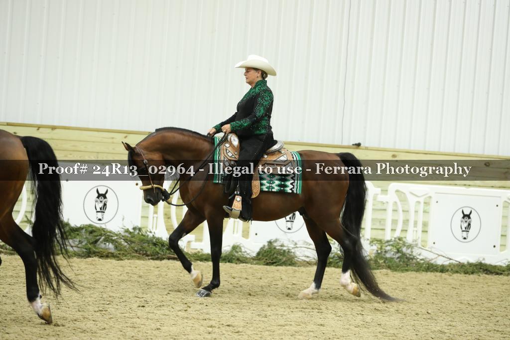 Proof 24R13_02964