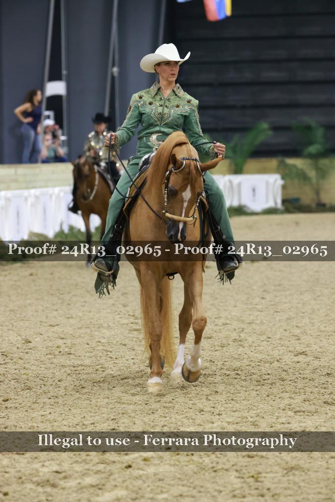 Proof 24R13_02965