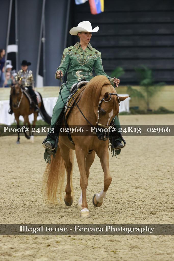 Proof 24R13_02966