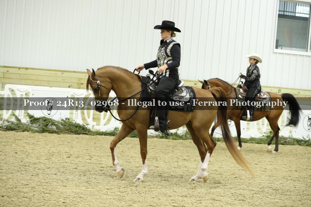 Proof 24R13_02968