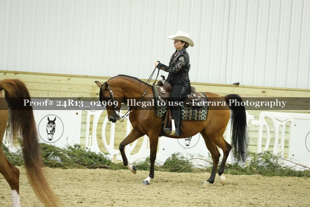 Proof 24R13_02969