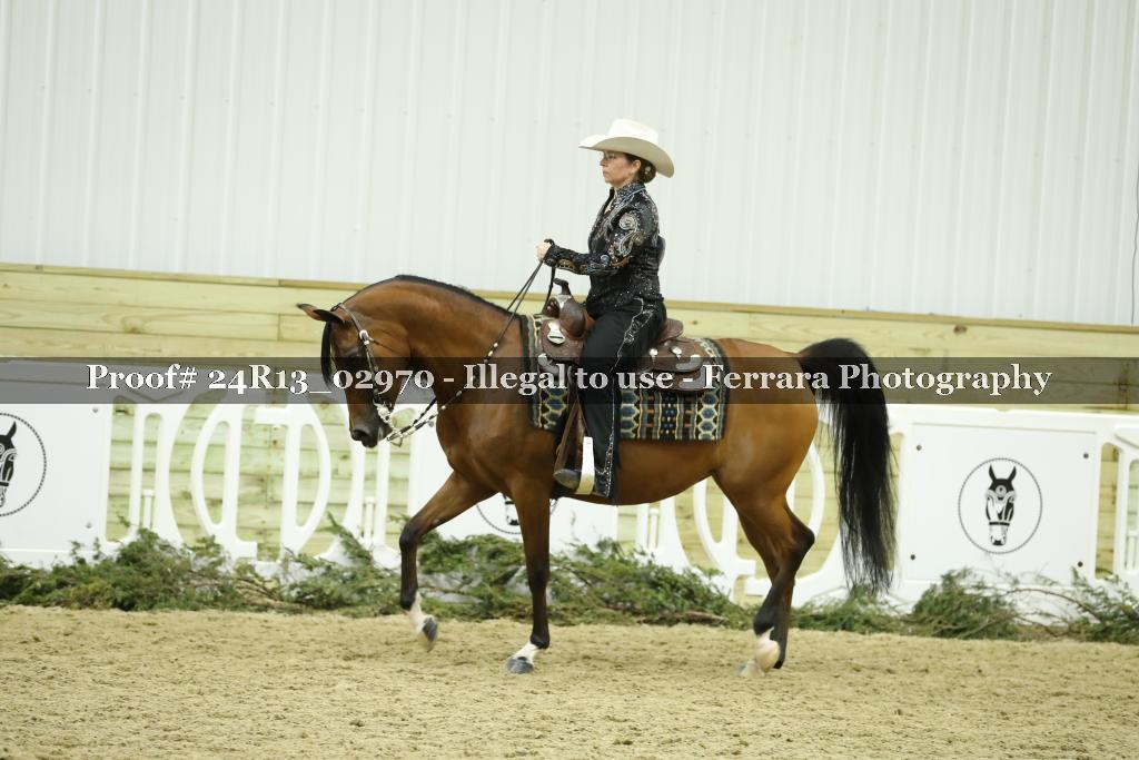 Proof 24R13_02970