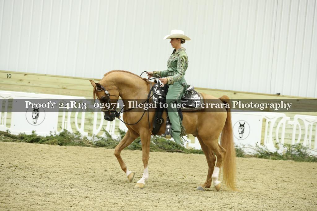 Proof 24R13_02971