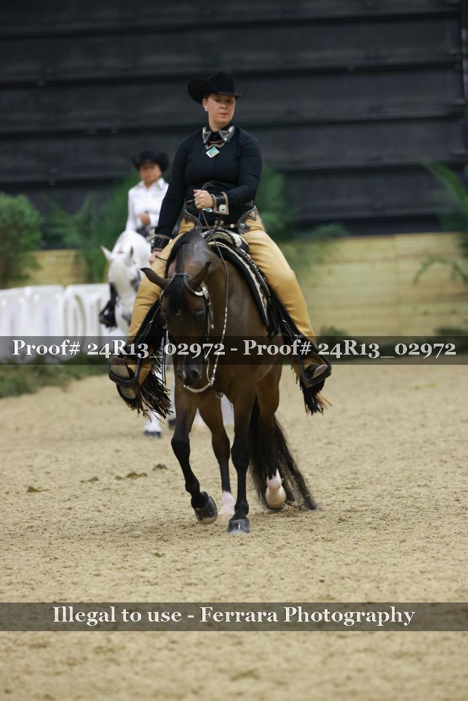 Proof 24R13_02972