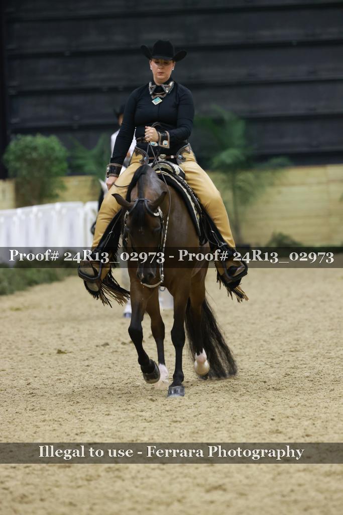 Proof 24R13_02973