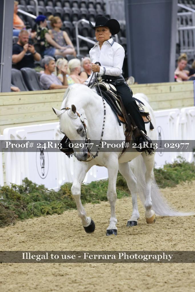 Proof 24R13_02977