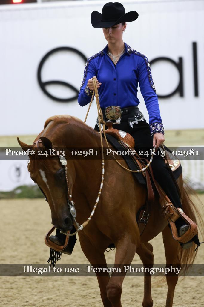 Proof 24R13_02981