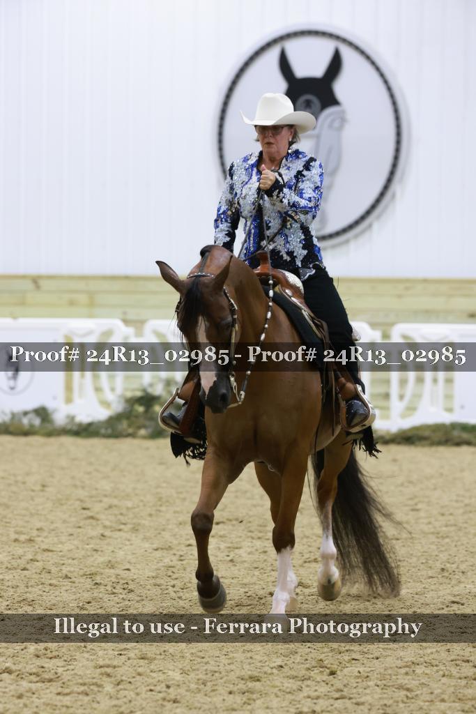 Proof 24R13_02985