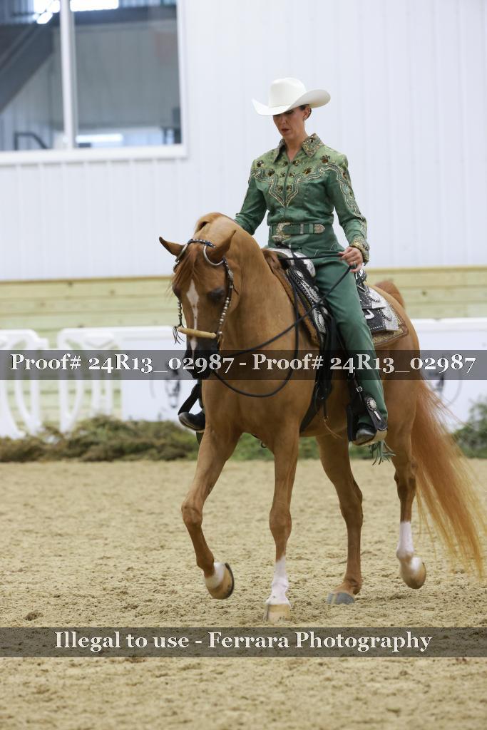 Proof 24R13_02987