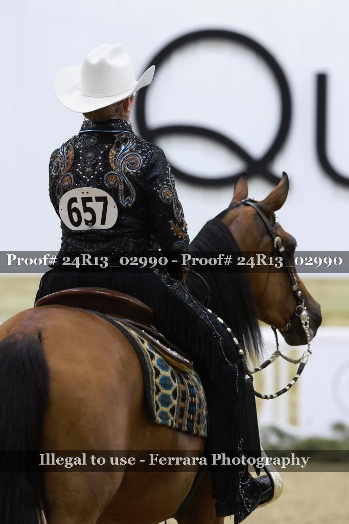Proof 24R13_02990