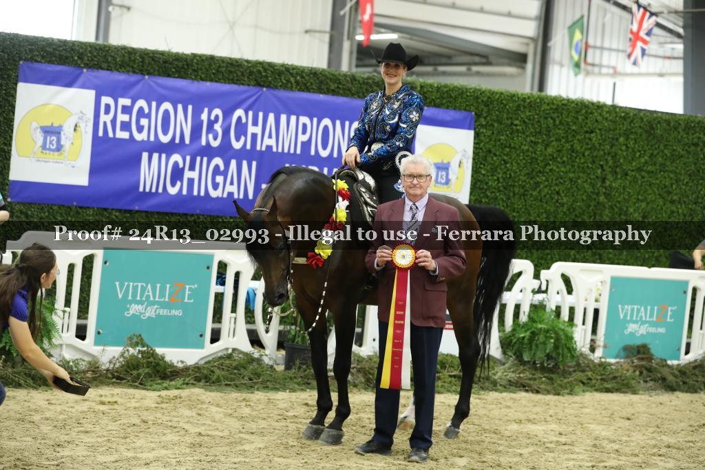 Proof 24R13_02993