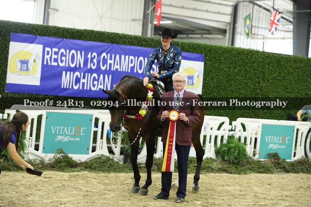 Proof 24R13_02994