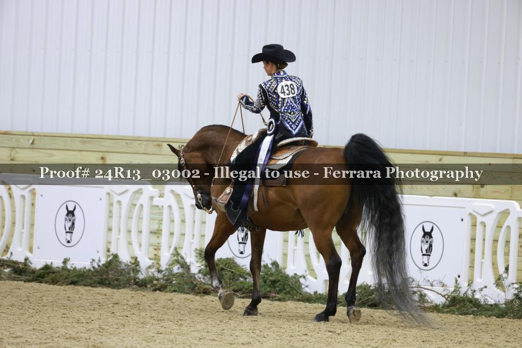 Proof 24R13_03002