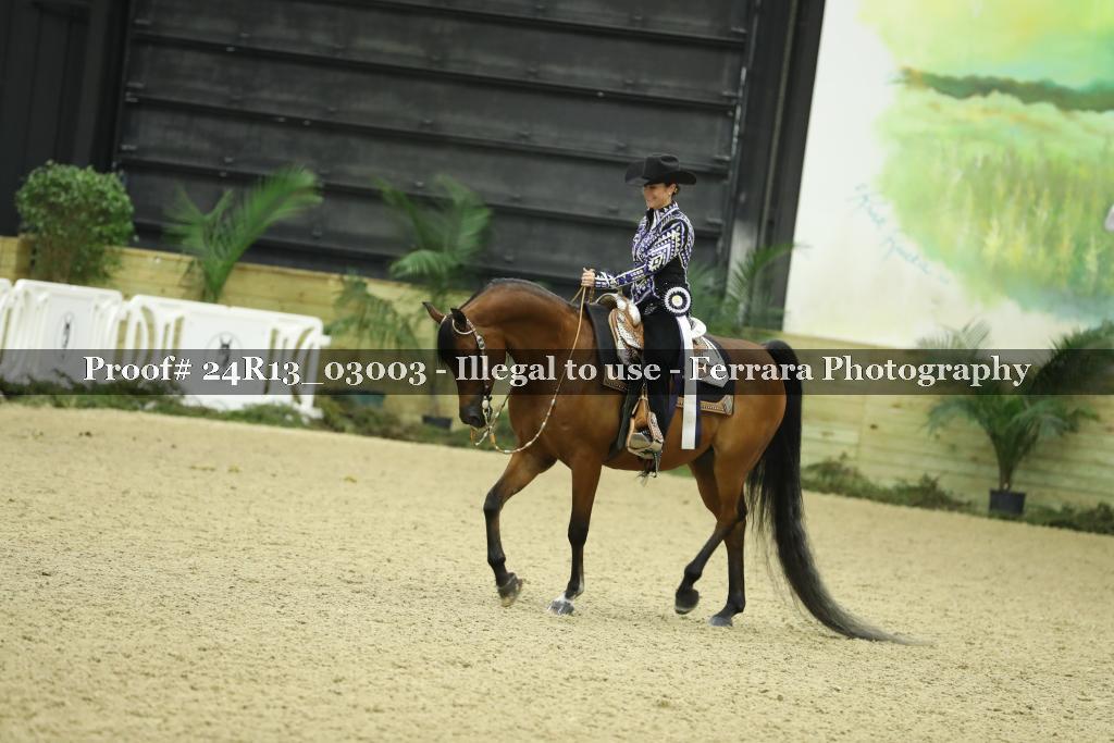 Proof 24R13_03003