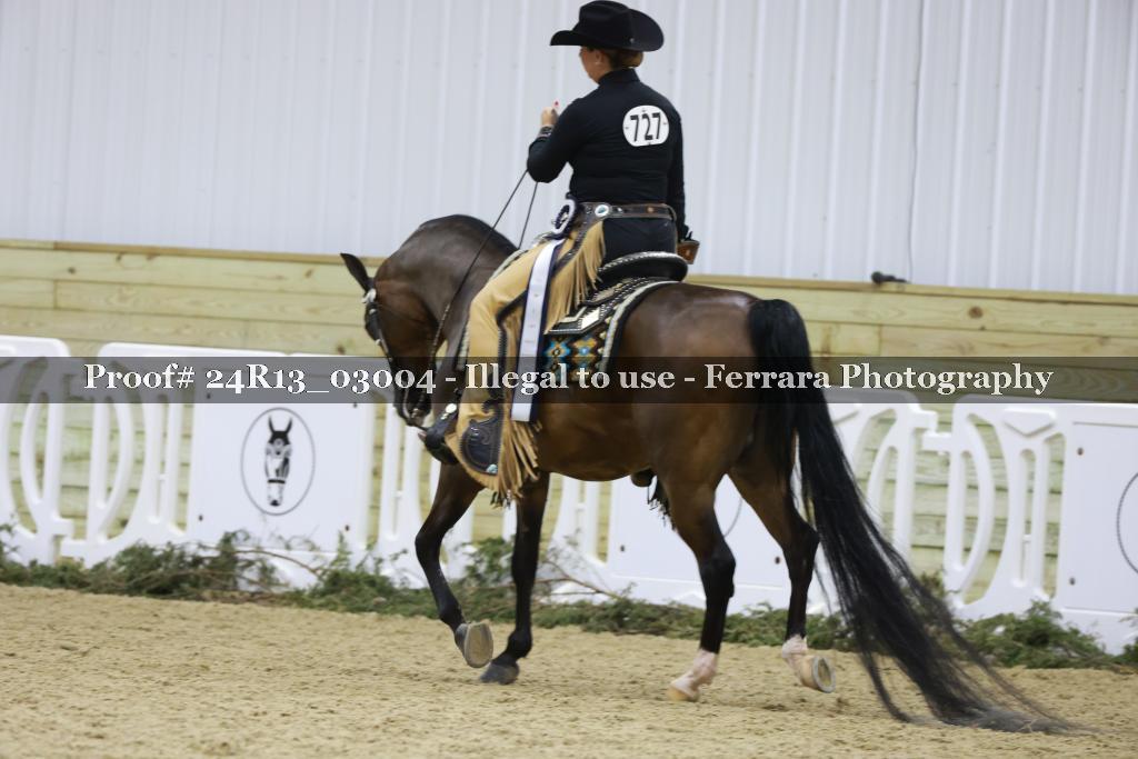 Proof 24R13_03004