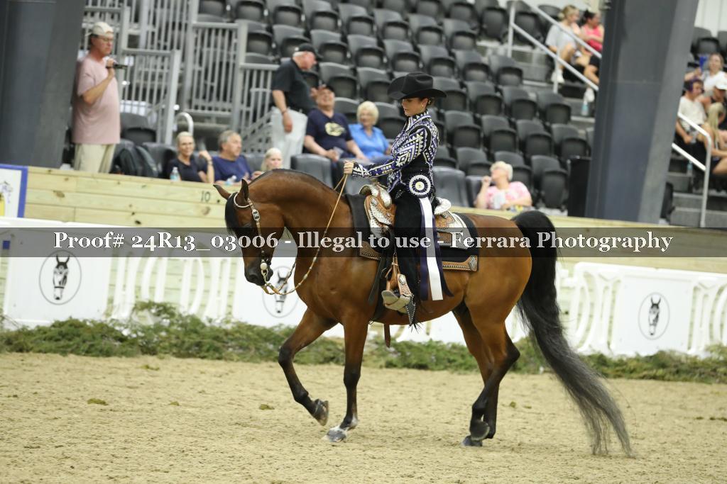 Proof 24R13_03006