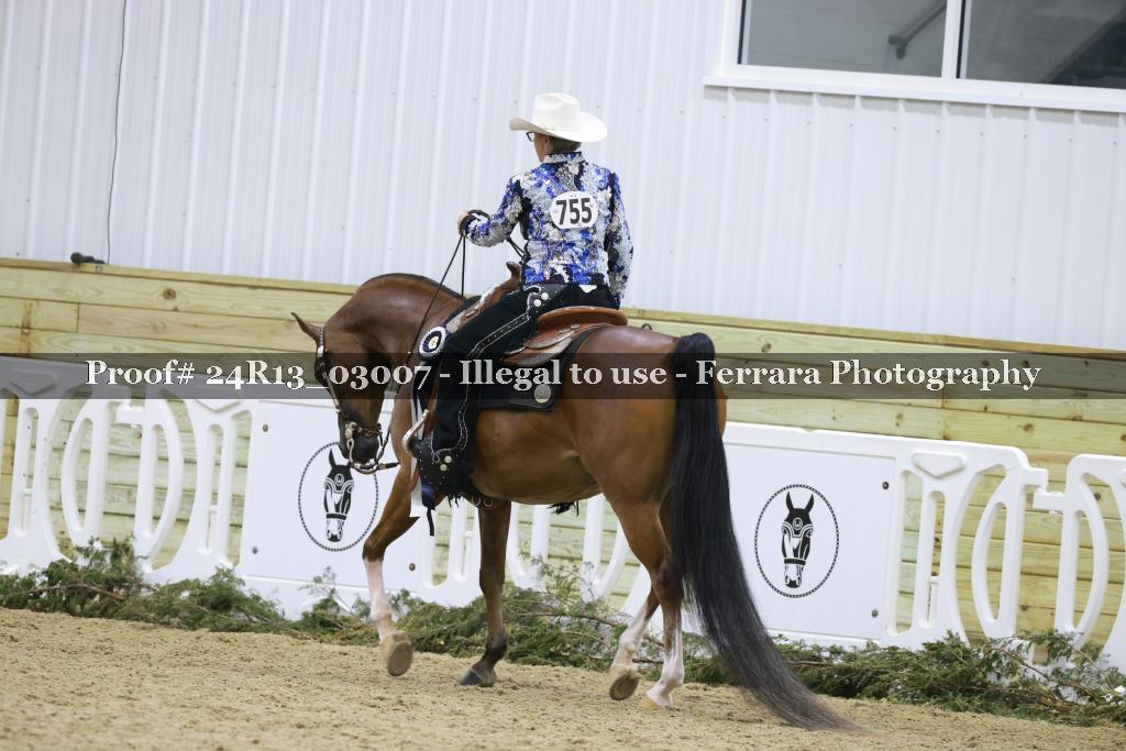 Proof 24R13_03007