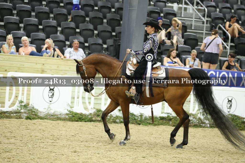 Proof 24R13_03008