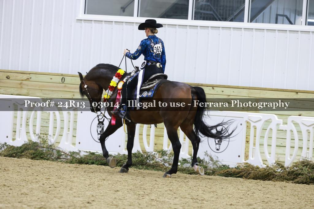 Proof 24R13_03014