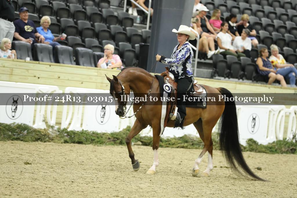 Proof 24R13_03015