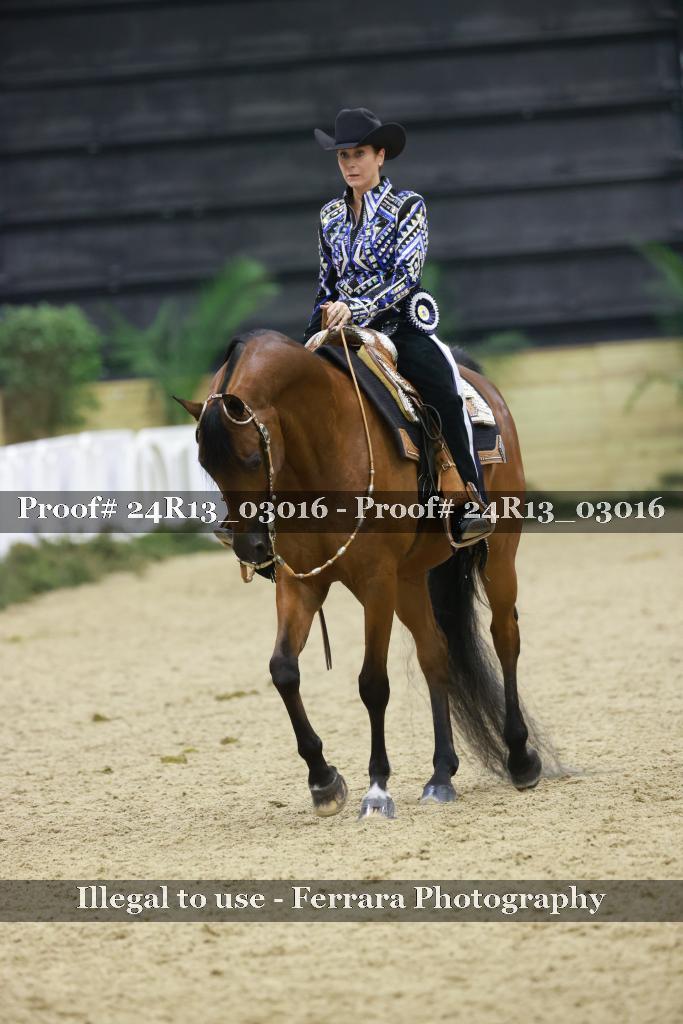 Proof 24R13_03016