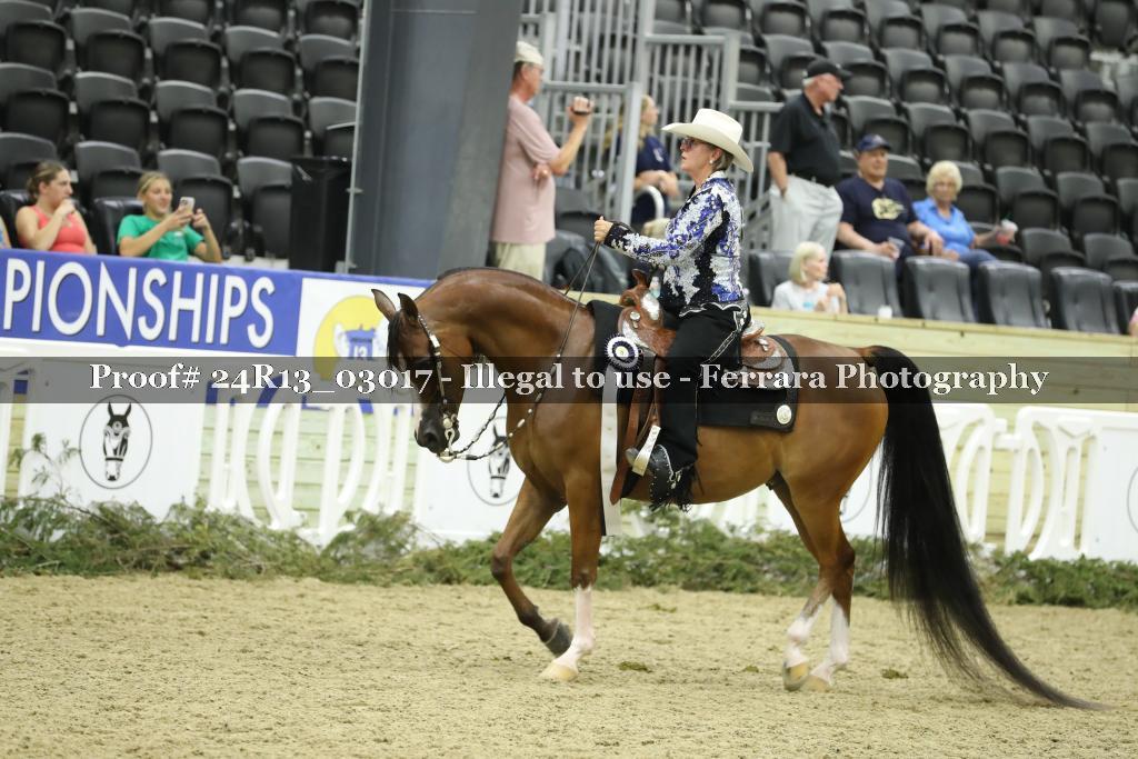 Proof 24R13_03017